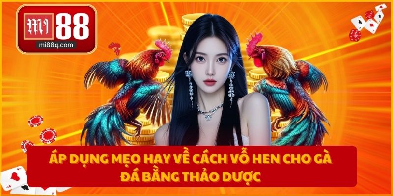 Áp dụng mẹo hay về cách vỗ hen cho gà đá bằng thảo dược