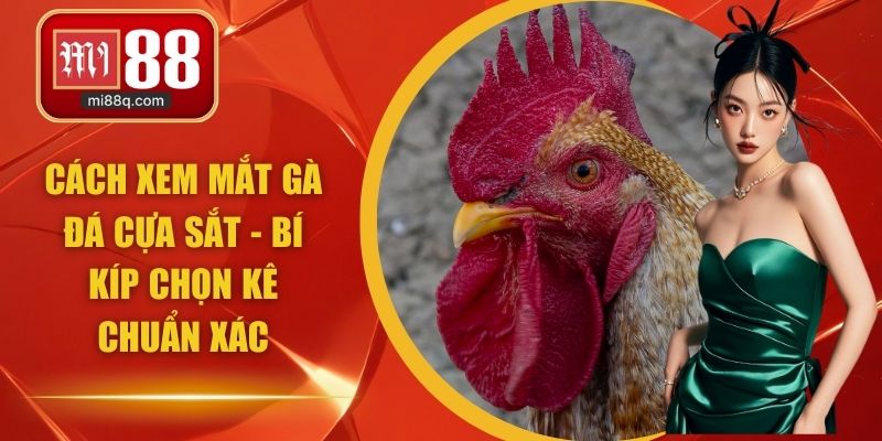 cách xem màu gà đá