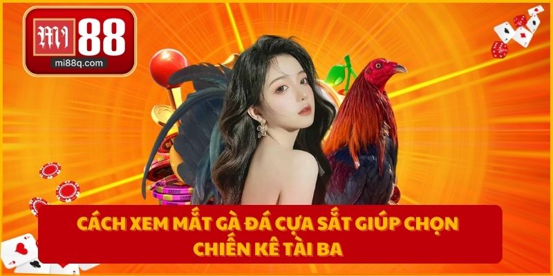 Cách xem mắt gà đá cựa sắt giúp chọn chiến kê tài ba