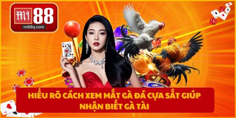 Hiểu rõ cách xem mắt gà đá cựa sắt giúp nhận biết gà tài