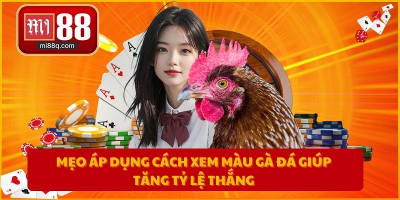 Mẹo áp dụng cách xem màu gà đá giúp tăng tỷ lệ thắng