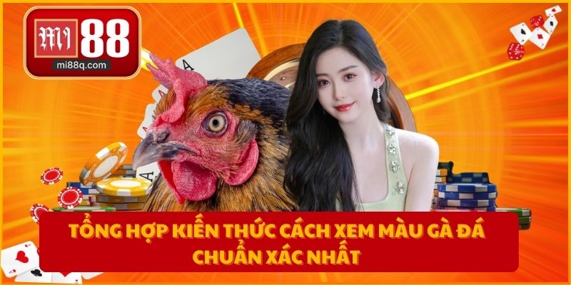 Tổng hợp kiến thức cách xem màu gà đá chuẩn xác nhất